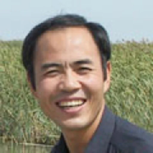 Lei Fumin